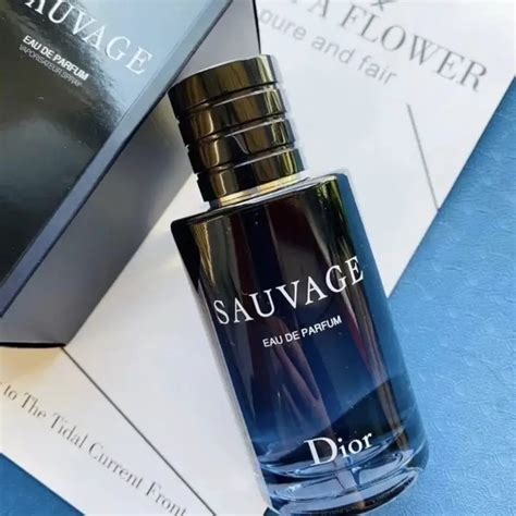 dior sauvage schweiz|what does dior sauvage smell like.